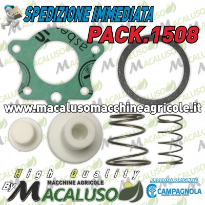 Kit revisione valvola pilota 3/4" motocompressore Hobby Kit Campagnola professional revisione valvola sicurezza PACK 1508