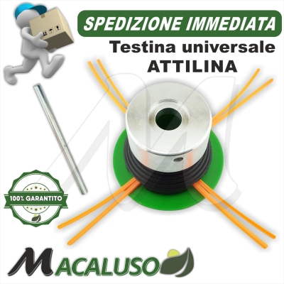 Testina universale "ATTILINA" TF35 4 fori