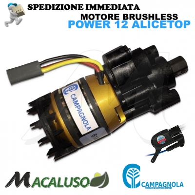 Motore completo abbacchiatore Alice Top Power 12 Campagnola motoriduttore con giunto esagonale