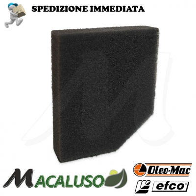 Filtro aria decespuglitore OleoMac 440 BP Efco 072700461BR